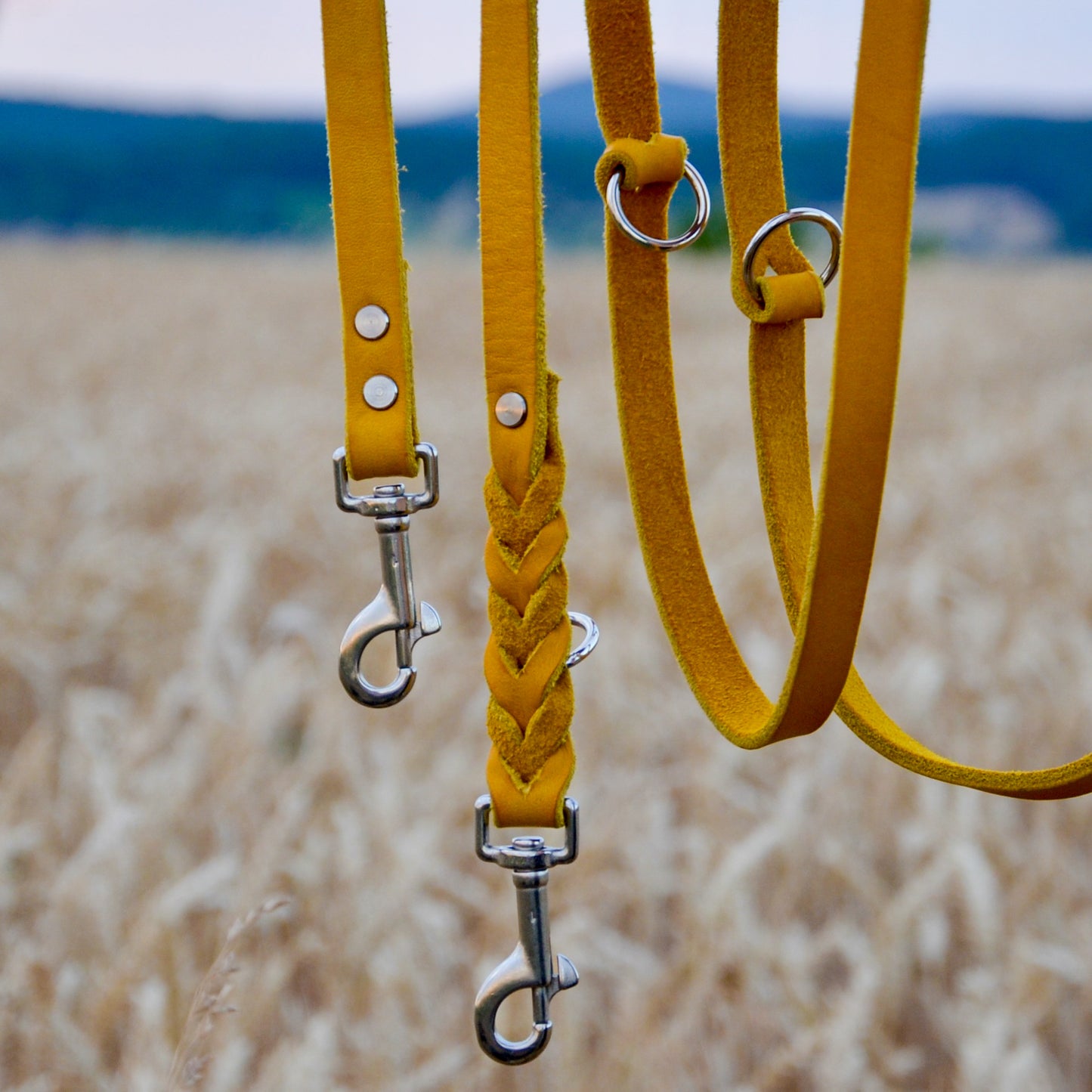 WALDLÄUFER - Fettlederleine in Curry