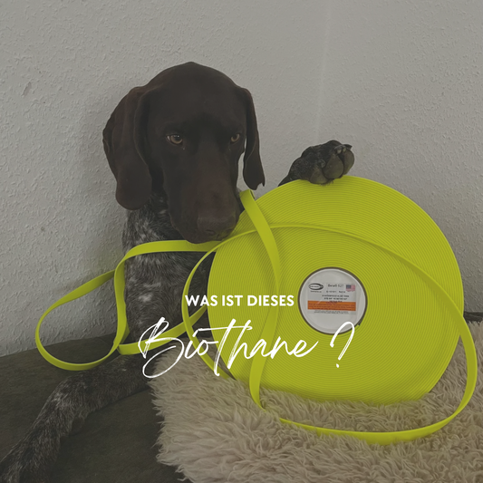 Was ist diese BioThane® überhaupt?