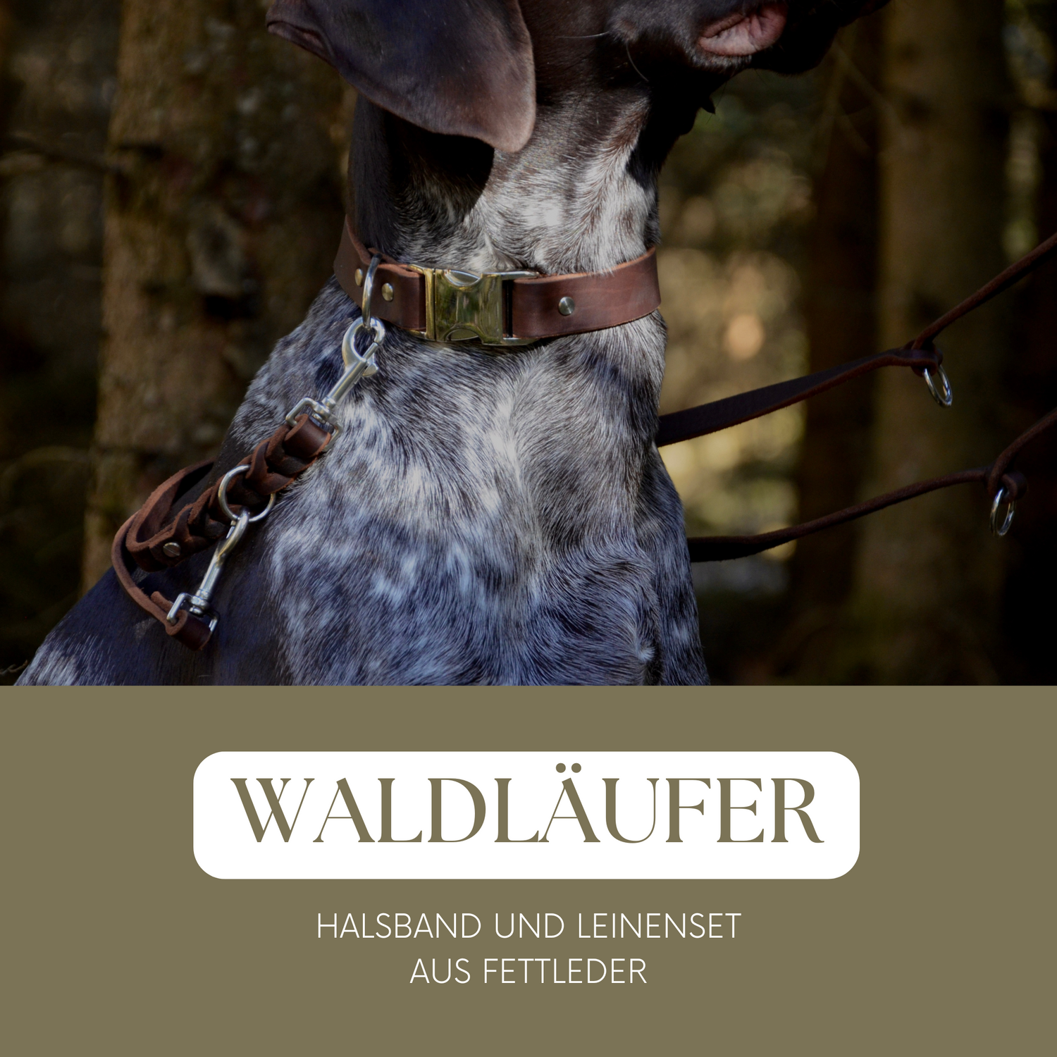 Waldläufer