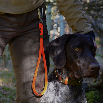 Kurzführer und Schleppleinenhalterung                                        aus BioThane®