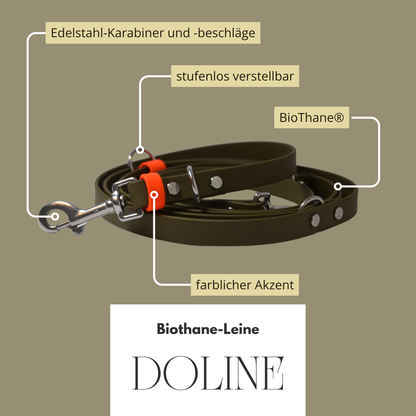 DOLINE - BioThane® Umhängeleine in oliv-grün