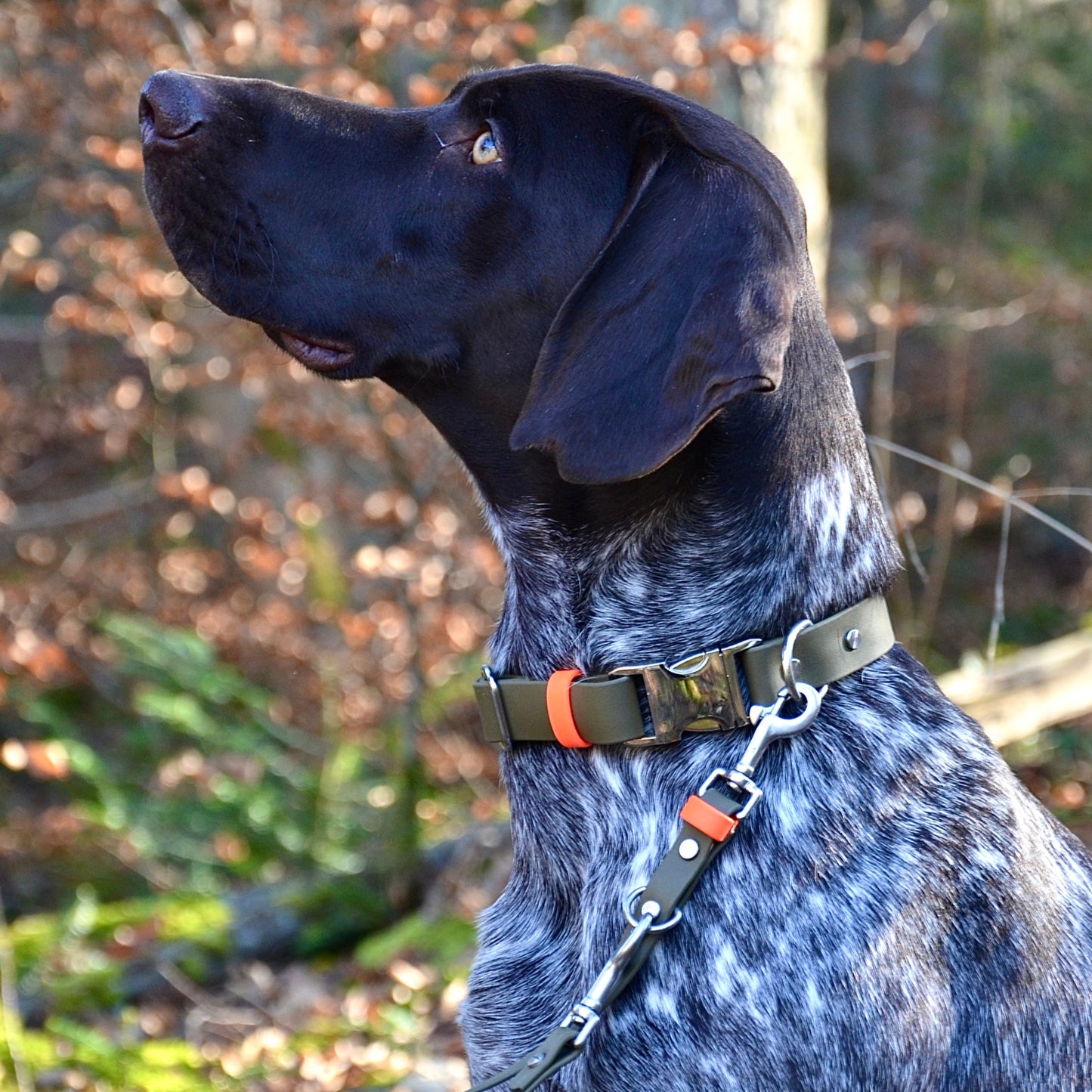 DOLINE - BioThane® Halsband in oliv-grün