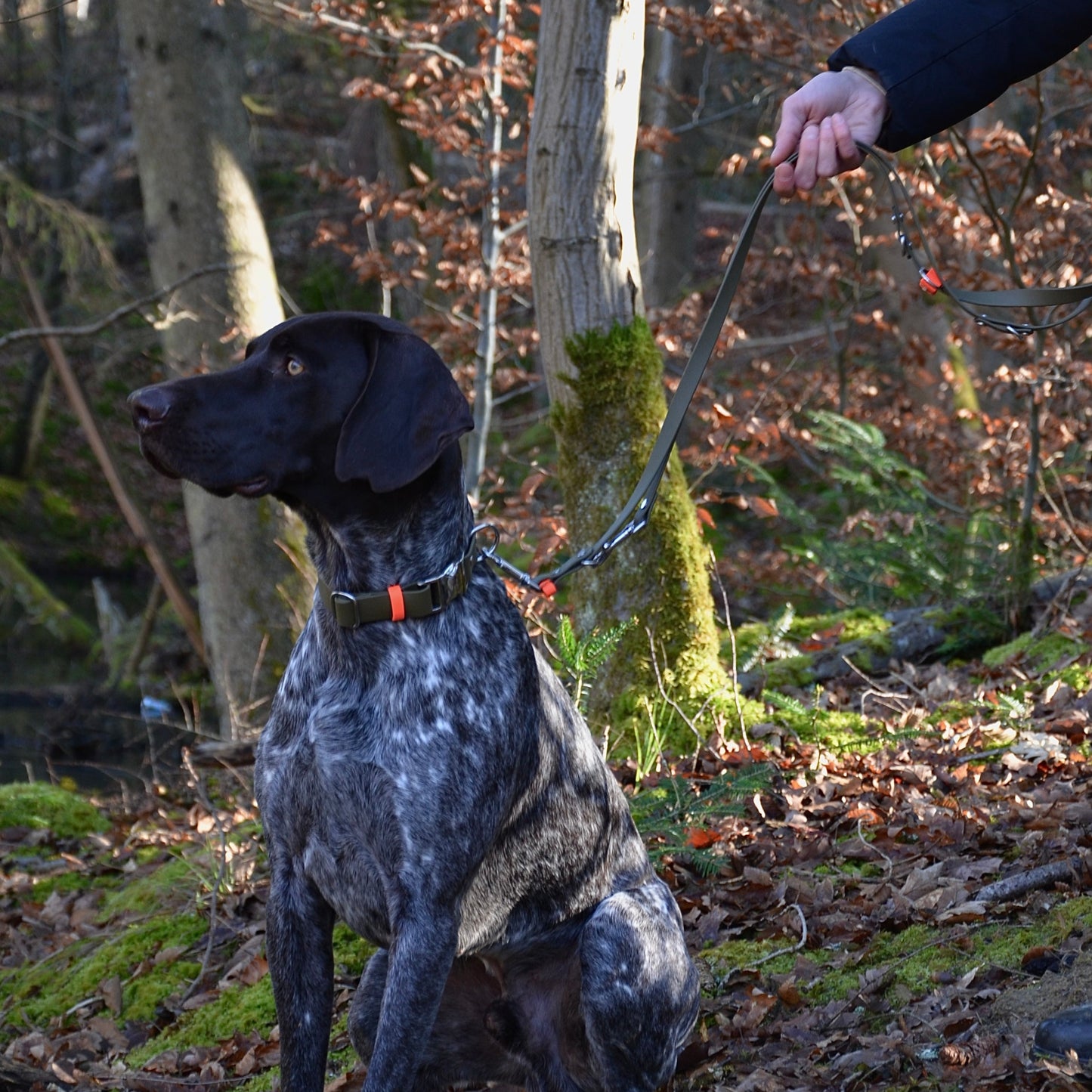 DOLINE - BioThane® Umhängeleine in oliv-grün