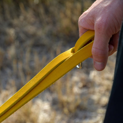 WALDLÄUFER - Fettlederleine in Curry