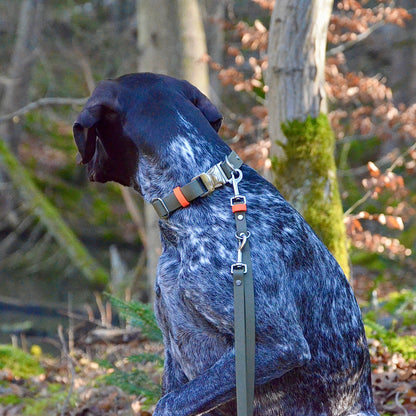 DOLINE - BioThane® Halsband in oliv-grün