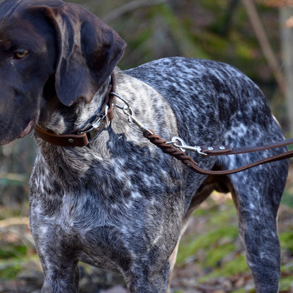 WALDLÄUFER - Fettlederleine in Kastanie