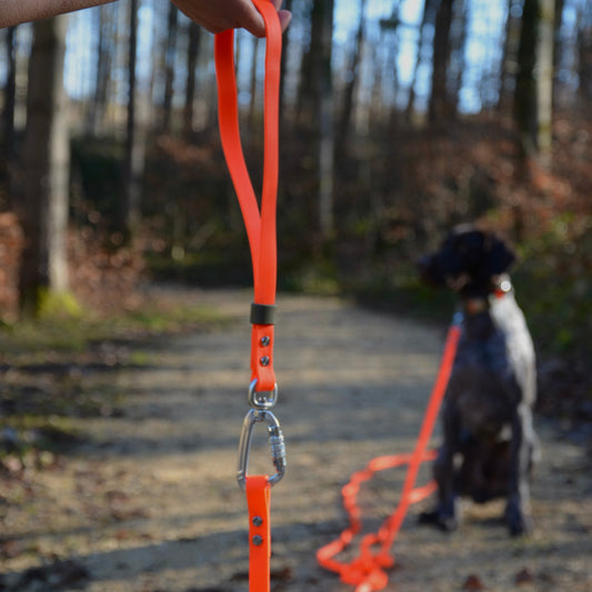 Schleppleine mit abnehmbarer Handschlaufe BioThane®