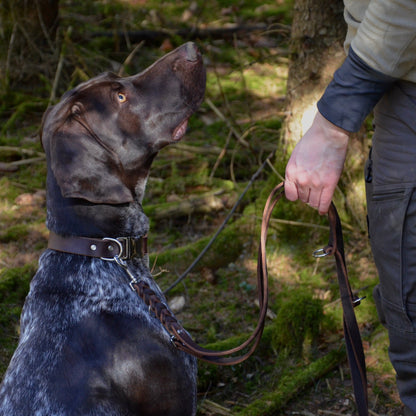 WALDLÄUFER - Fettlederleine in Kastanie