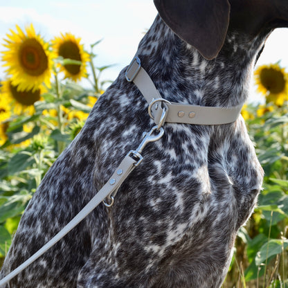 LUNAU - BioThane® Halsband in Taupe