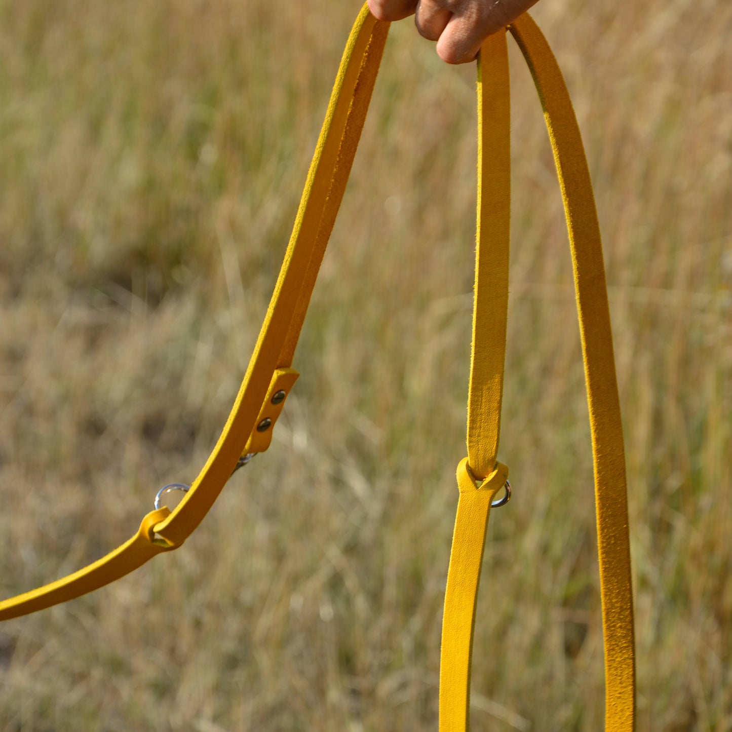 WALDLÄUFER - Fettlederleine in Curry