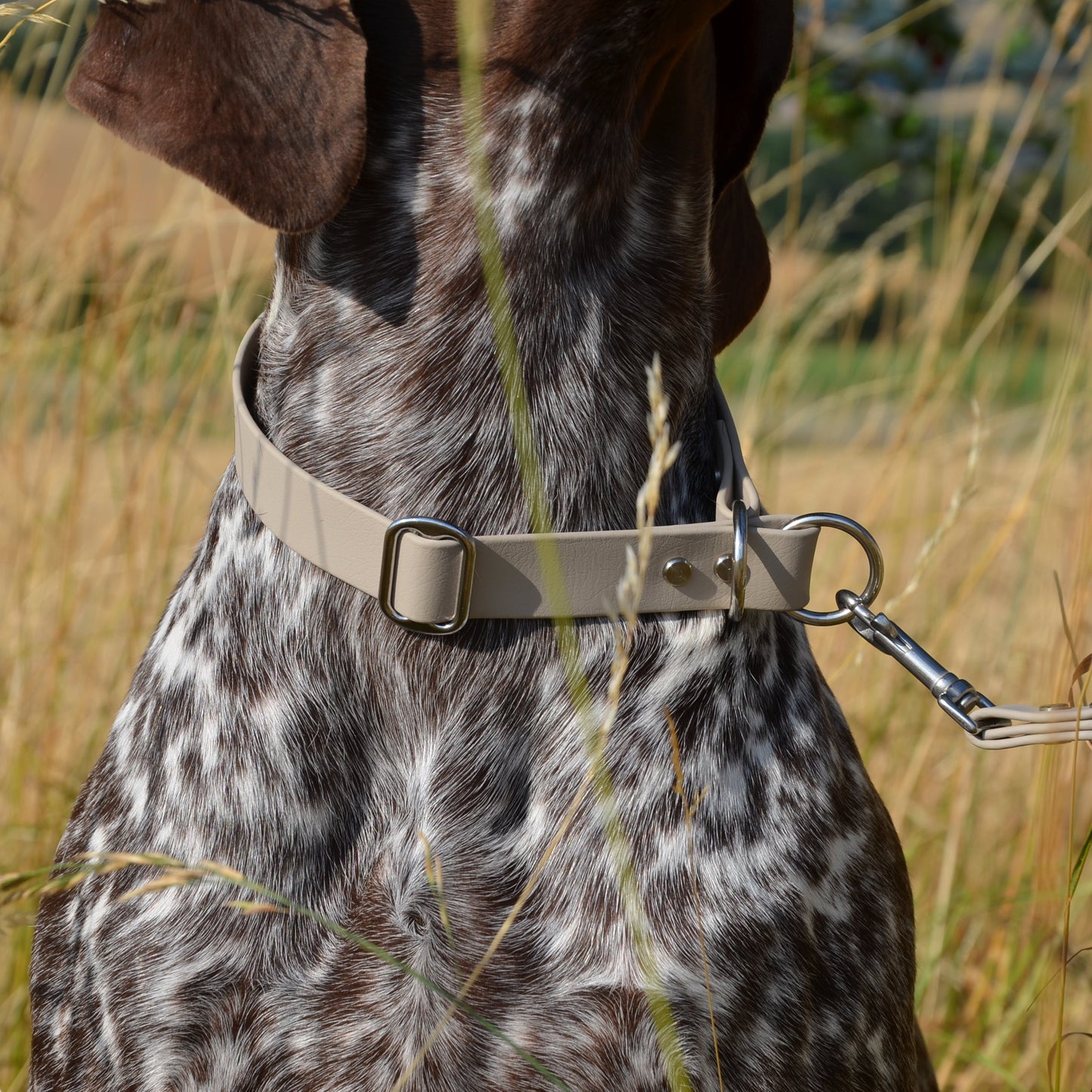 LUNAU - BioThane® Halsband in Taupe