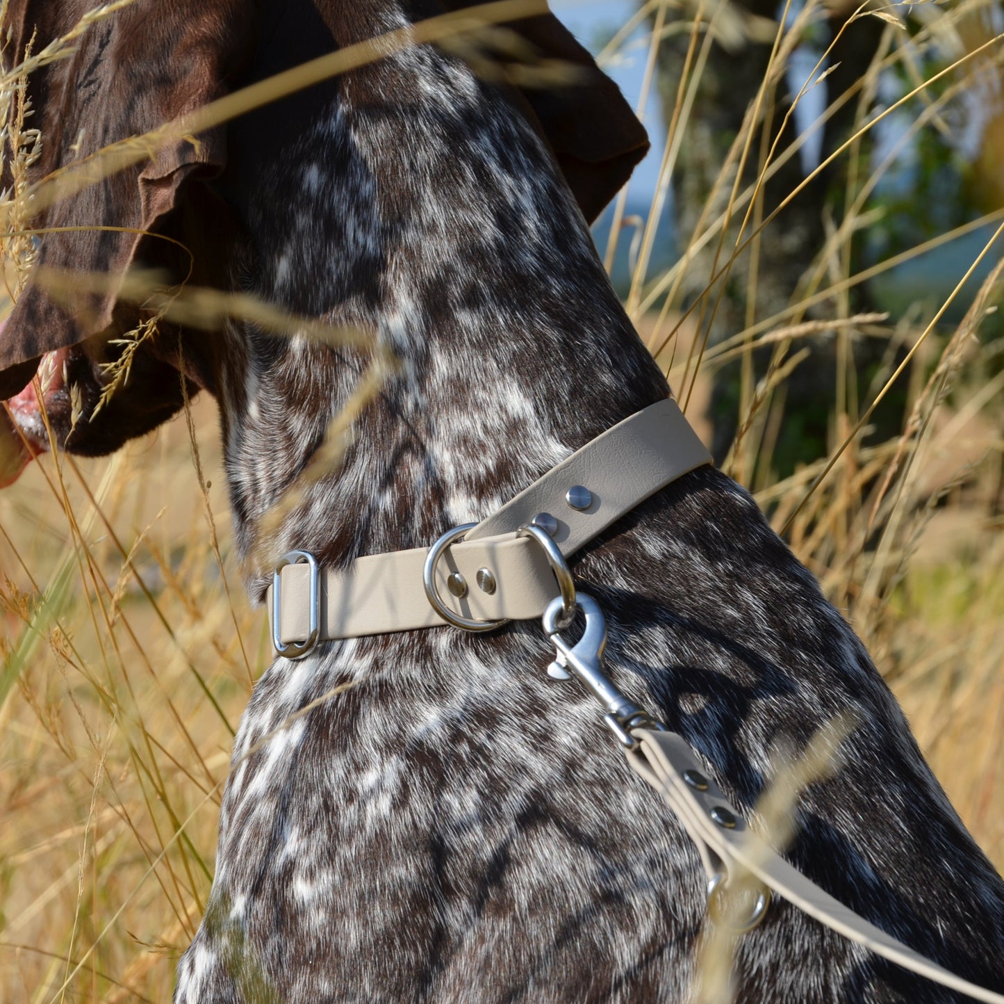 LUNAU - BioThane® Halsband in Taupe