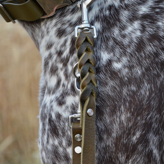 WALDLÄUFER - Fettlederleine in Oliv