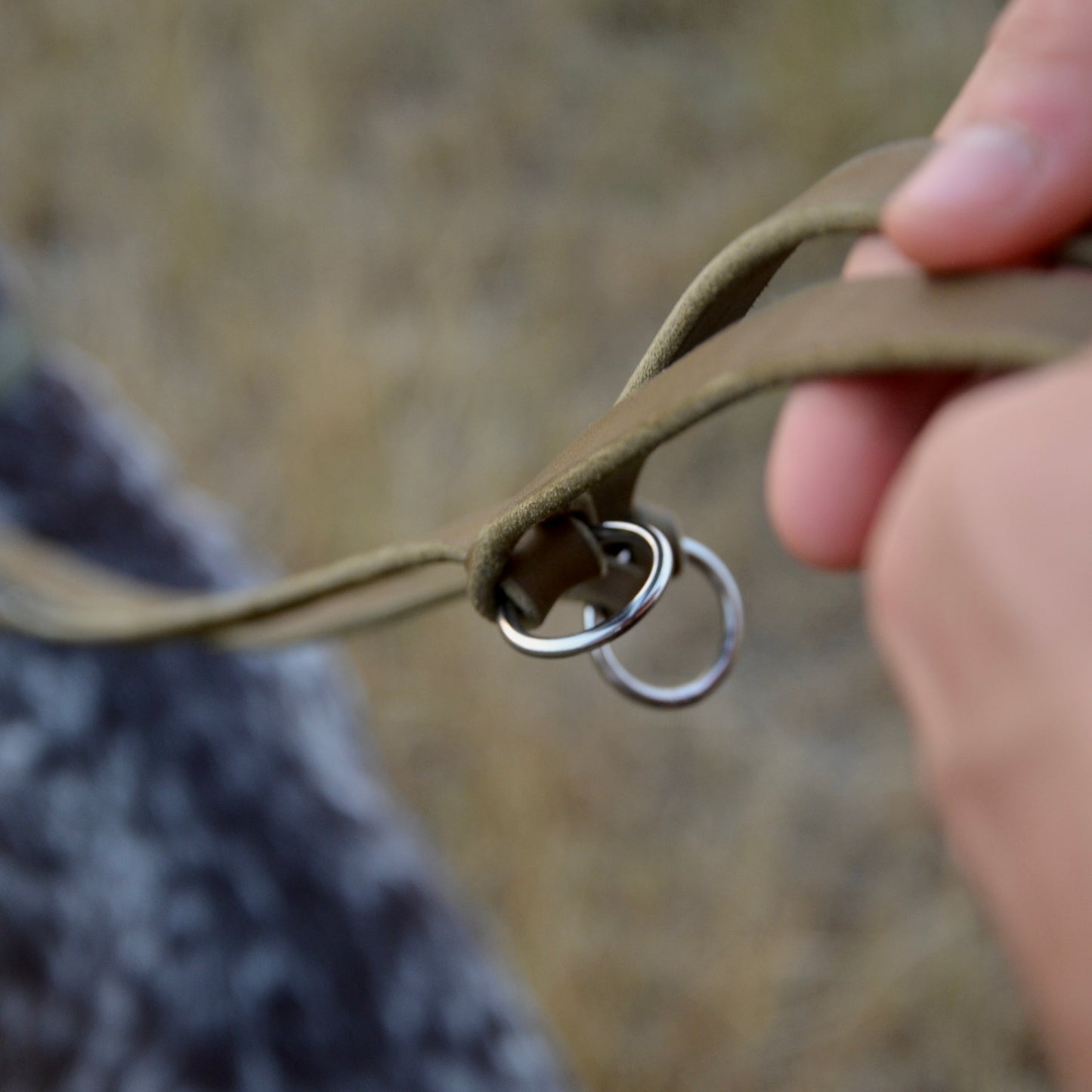 WALDLÄUFER - Fettlederleine in Oliv