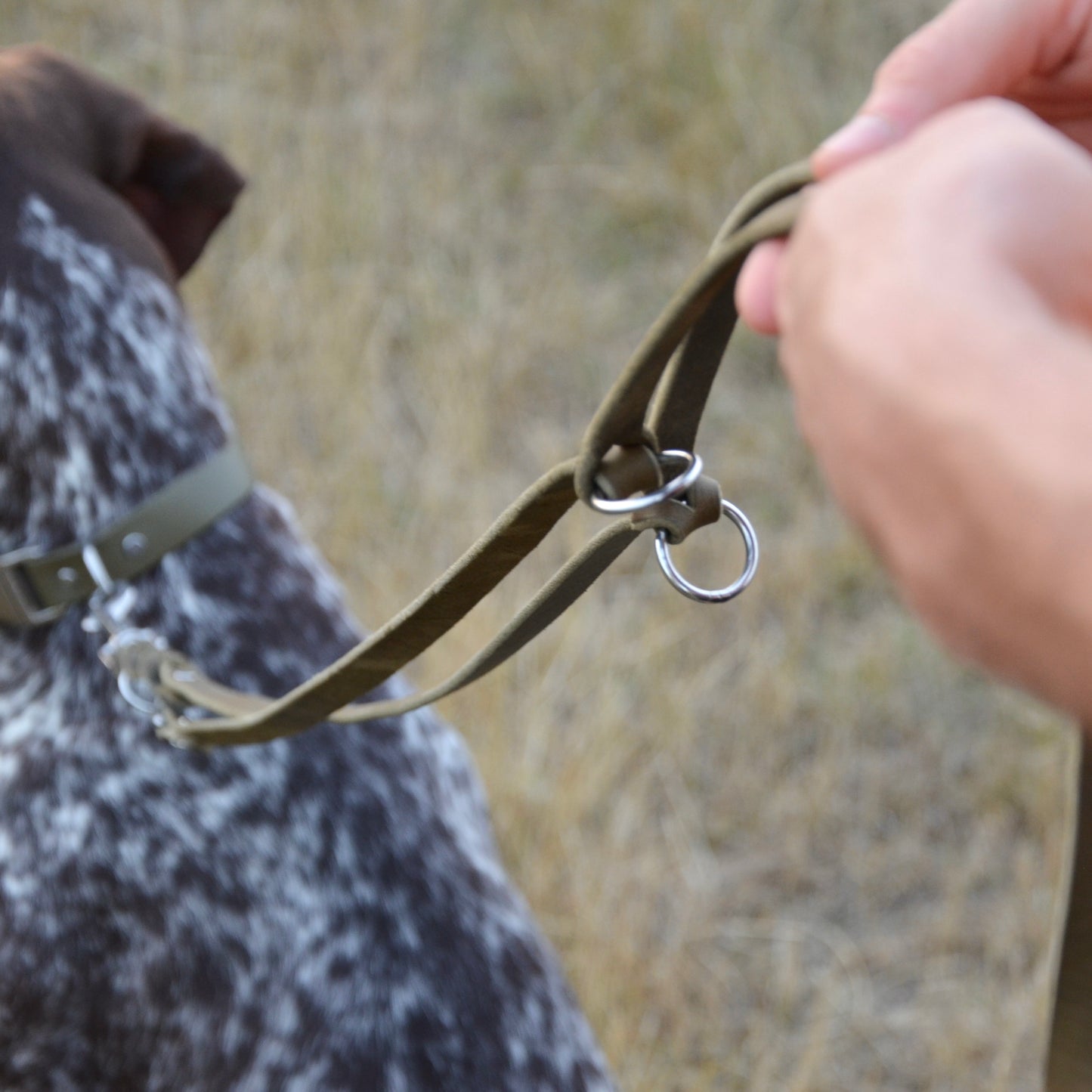 WALDLÄUFER - Fettlederleine in Oliv
