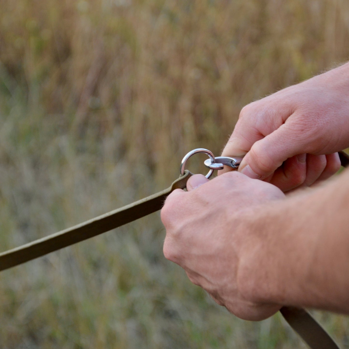 WALDLÄUFER - Fettlederleine in Oliv