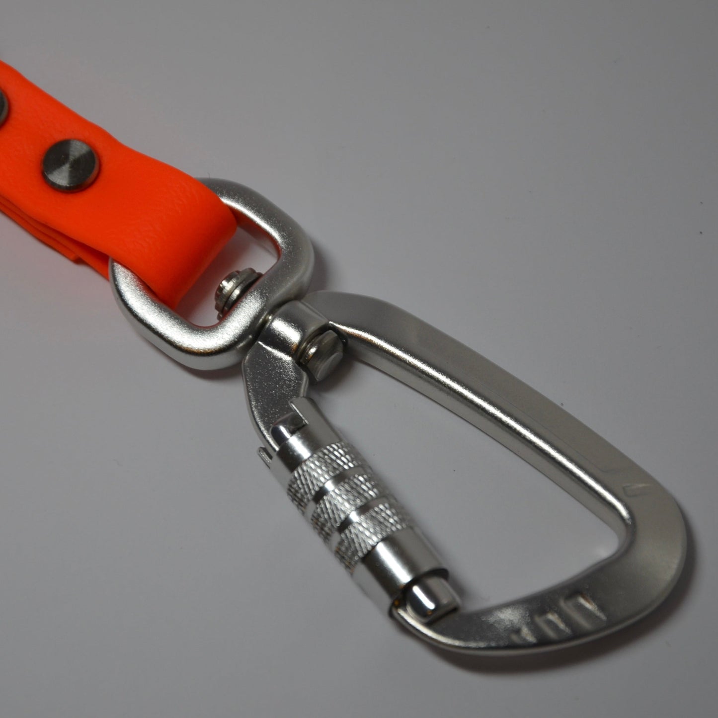 Schleppleine mit abnehmbarer Handschlaufe BioThane®