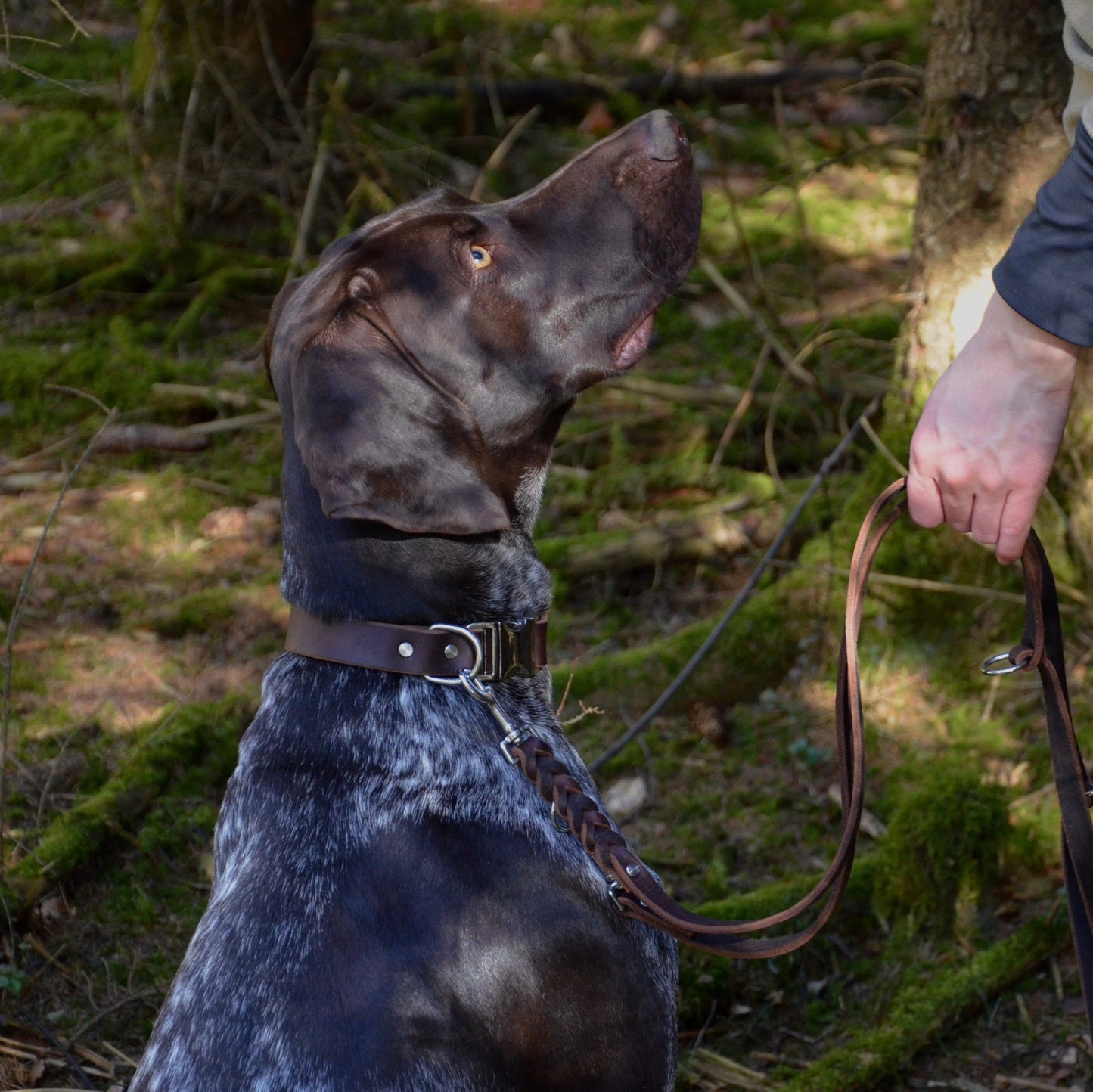 WALDLÄUFER - Fettlederhalsband in kastanienbraun