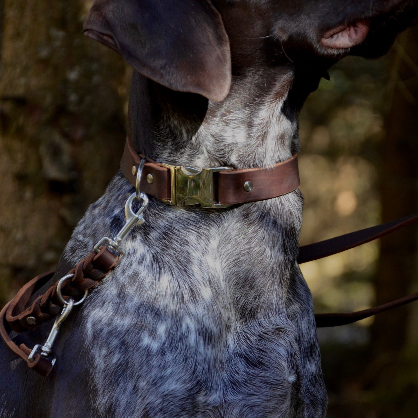 WALDLÄUFER - Fettlederhalsband in kastanienbraun
