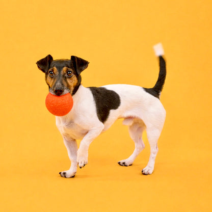 Mats & Marla Hundespielzeug - Filzball Set