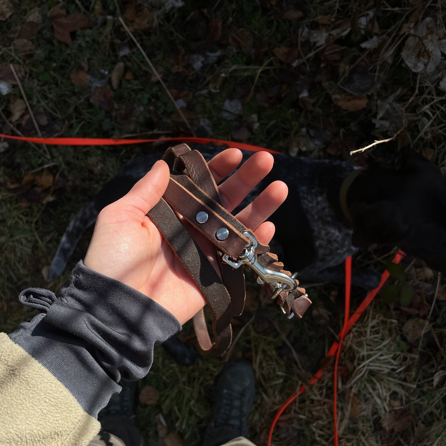 WALDLÄUFER - Fettlederleine in Kastanie