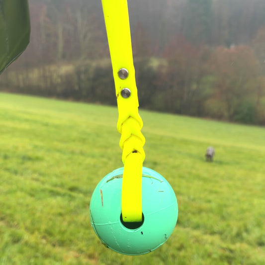 ROCDOG ACTIVE BALL - Robuster Wurfball für Hunde aus Naturkautschuk mit Biothane Schlaufe